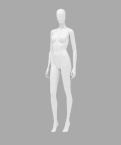 Mannequin of a whole female body
